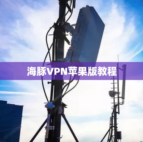 海豚VPN苹果版教程