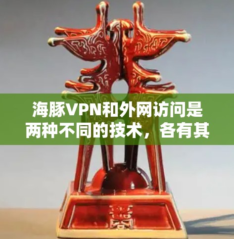海豚VPN和外网访问是两种不同的技术，各有其独特的优势和应用场景。以下是对两者进行的详细分析和比较