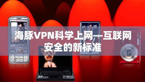 海豚VPN科学上网—互联网安全的新标准