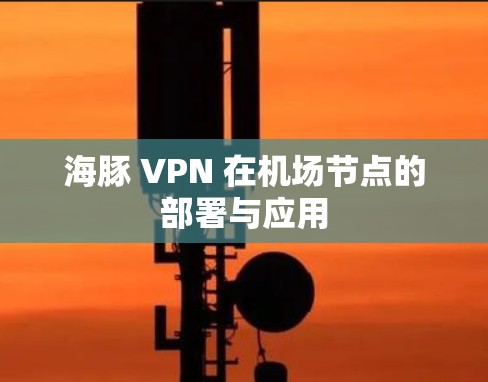 海豚 VPN 在机场节点的部署与应用