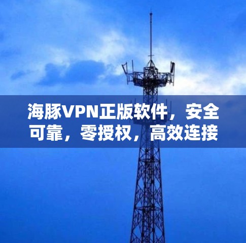 海豚VPN正版软件，安全可靠，零授权，高效连接