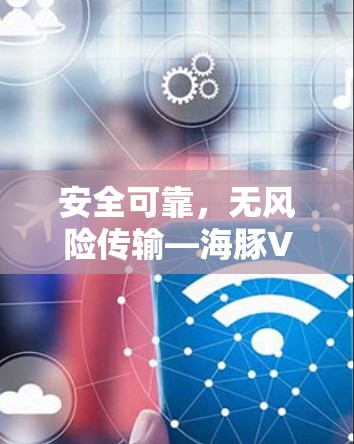 安全可靠，无风险传输—海豚VPN