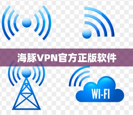 海豚VPN官方正版软件