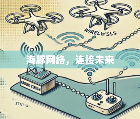 海豚网络，连接未来