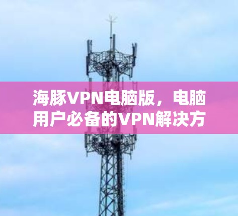 海豚VPN电脑版，电脑用户必备的VPN解决方案