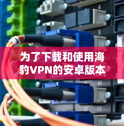 为了下载和使用海豹VPN的安卓版本和手机版，您可以按照以下步骤进行