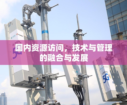 国内资源访问，技术与管理的融合与发展