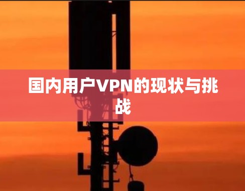 国内用户VPN的现状与挑战