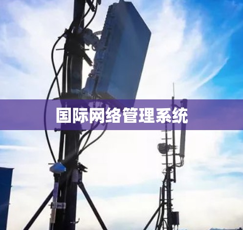 国际网络管理系统