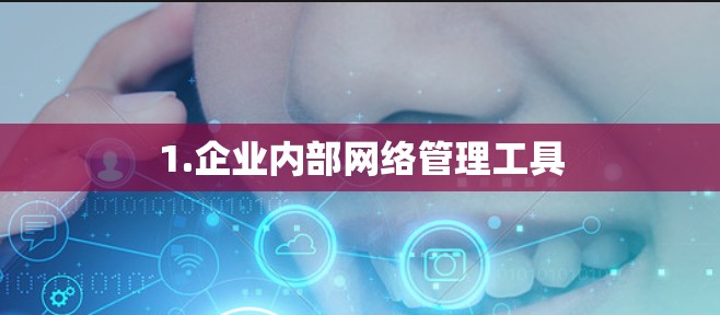 1.企业内部网络管理工具