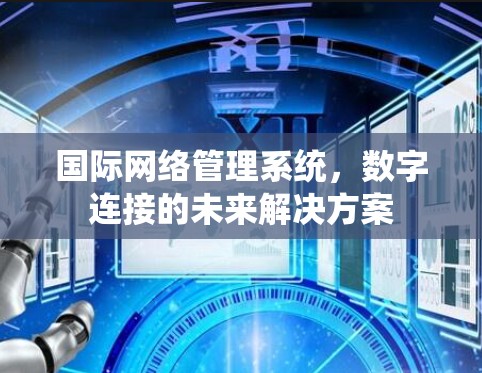 国际网络管理系统，数字连接的未来解决方案
