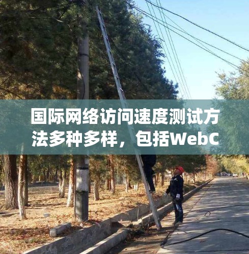 国际网络访问速度测试方法多种多样，包括WebCrawl、Nagios、Asterisk、NetFlow和F5/NetSim等。以下是对这些方法的详细介绍