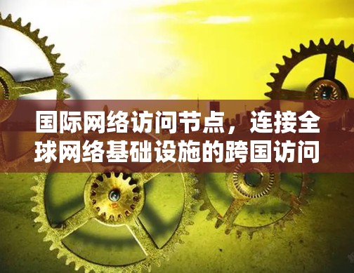 国际网络访问节点，连接全球网络基础设施的跨国访问平台