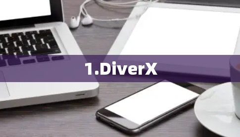 1.DiverX