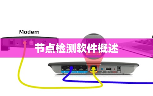 节点检测软件概述
