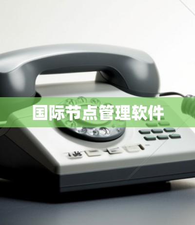 国际节点管理软件