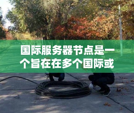 国际服务器节点是一个旨在在多个国际或全球范围内运行的服务器系统。这些服务器可能涉及不同的平台、语言和编码标准，以提供统一和快速的网络连接。以下是关于国际服务器节点的详细说明