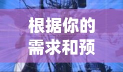 根据你的需求和预算，以下是针对国际VPN服务Surfshark和CyGhost的比较，以及最终的推荐