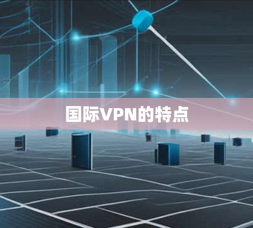 国际VPN的特点