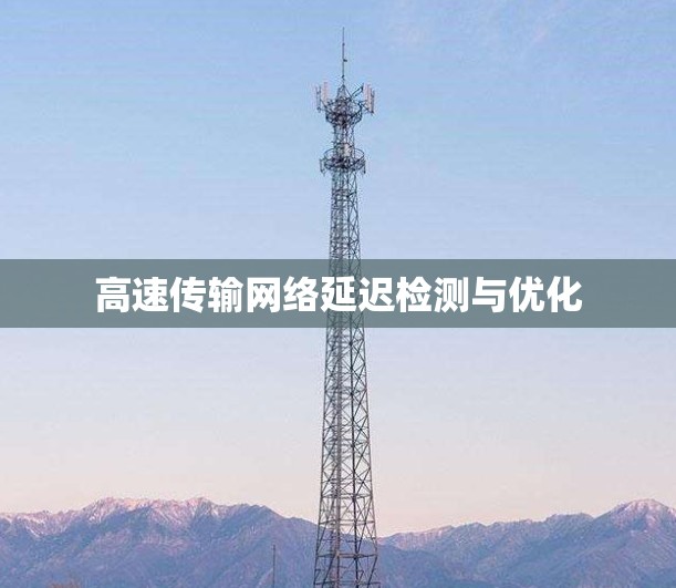 高速传输网络延迟检测与优化