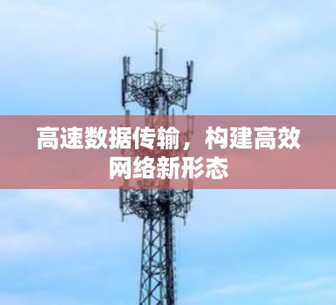 高速数据传输，构建高效网络新形态