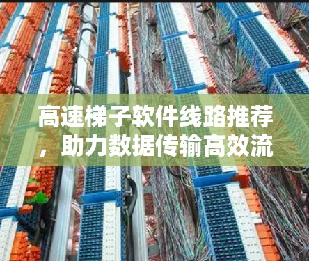 高速梯子软件线路推荐，助力数据传输高效流畅